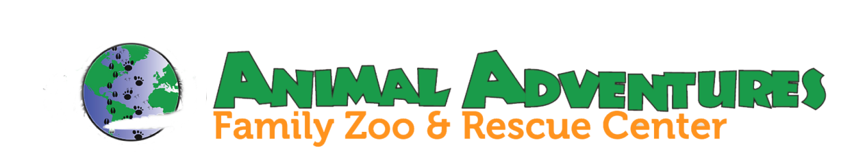 Animal Adventures